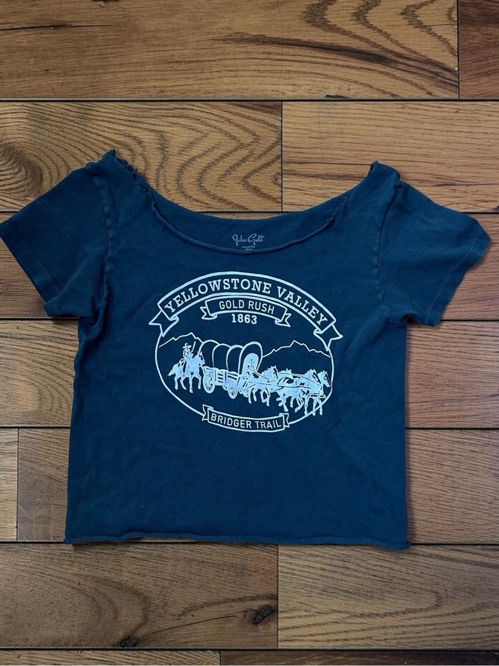 John Galt Brandy Melville Yellowstone Valley Graphic Baby Tee One Size
